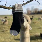 Alpakos vilnos kojinės